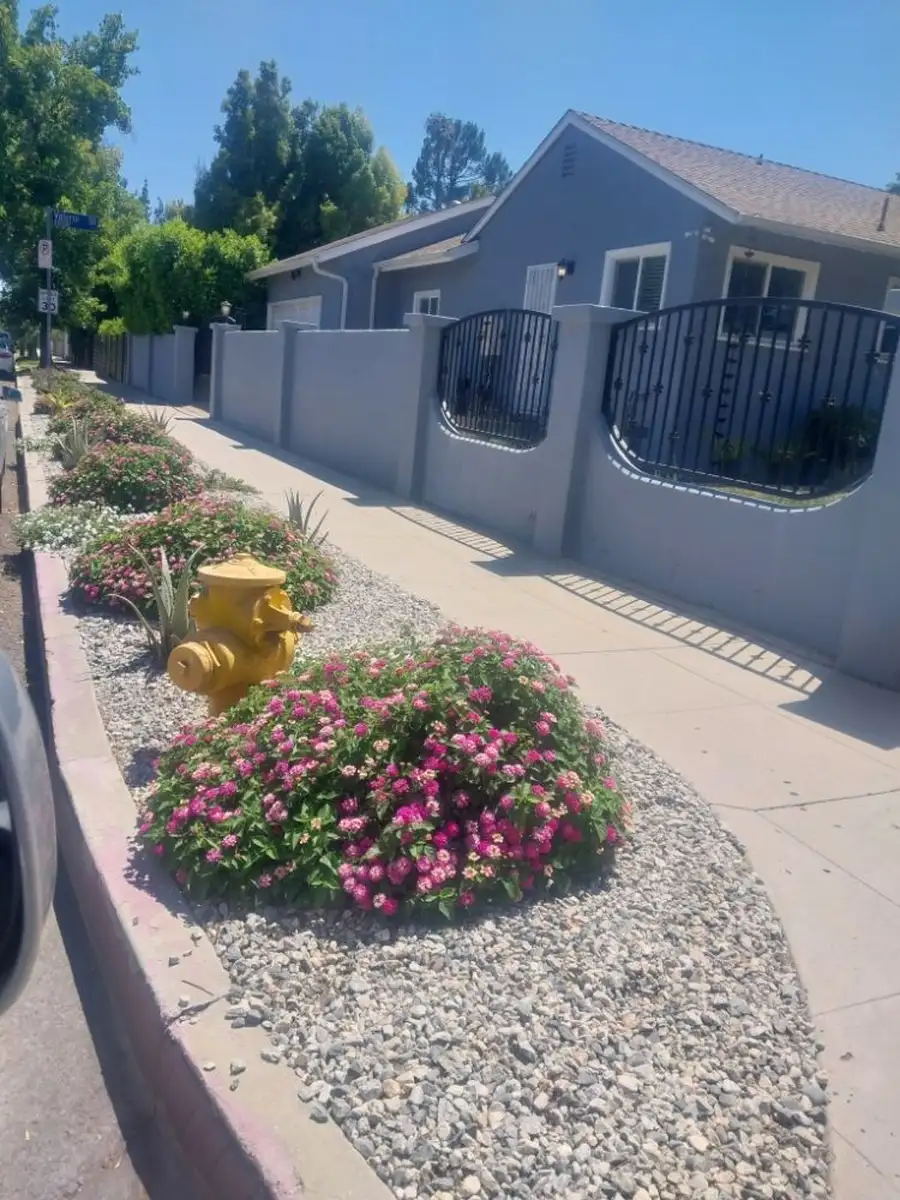 Garden Design