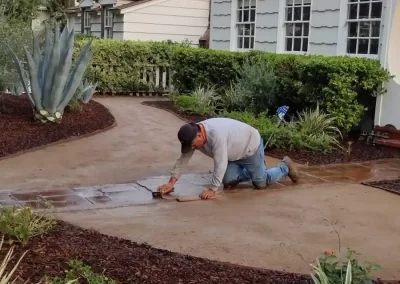 Landscape Company