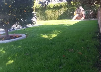 Landscape Services