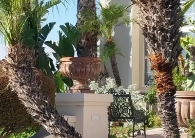 Landscape Services