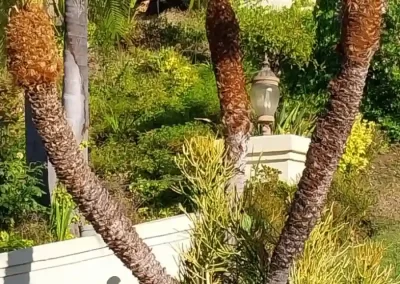 Landscaper