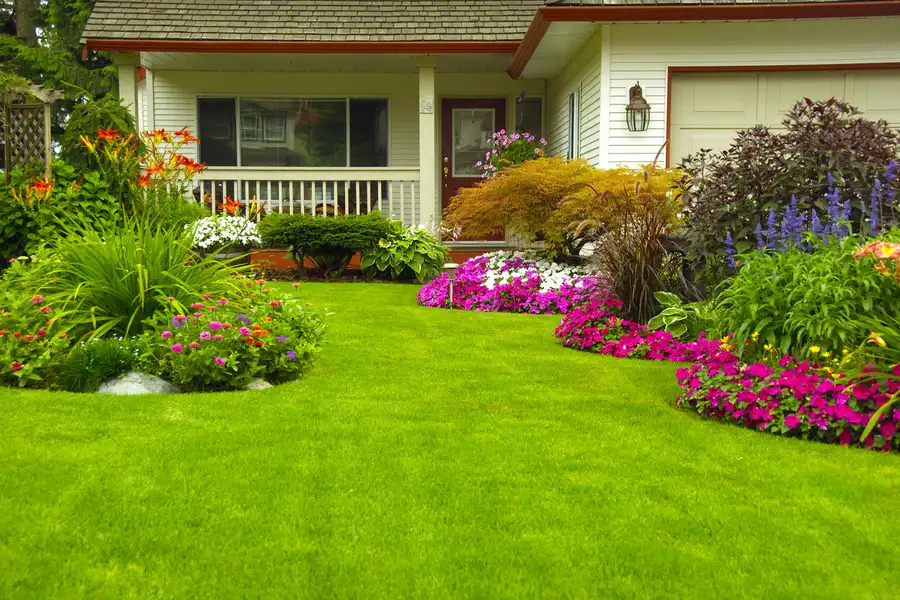 Choosing Plants For A Balanced And Vibrant Garden Design in Panorama City CA