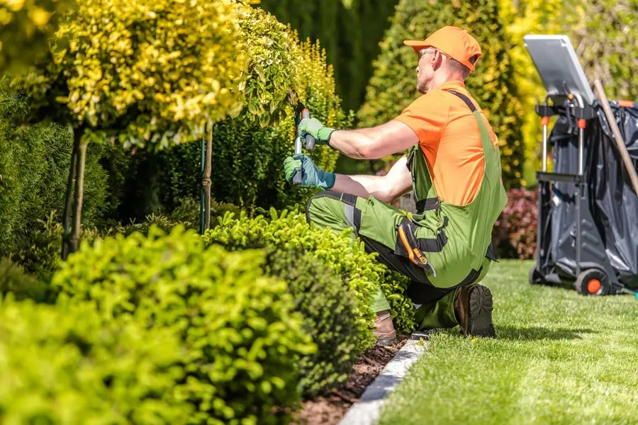 How Garden Design Enhances Outdoor Living Spaces in Panorama City CA