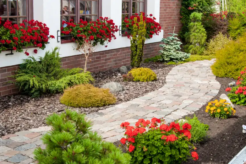 Choosing Plants For A Balanced And Vibrant Garden Design Panorama City CA