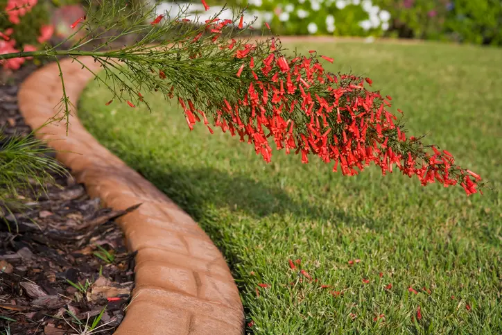 Experienced Lawn Edging Panorama City CA