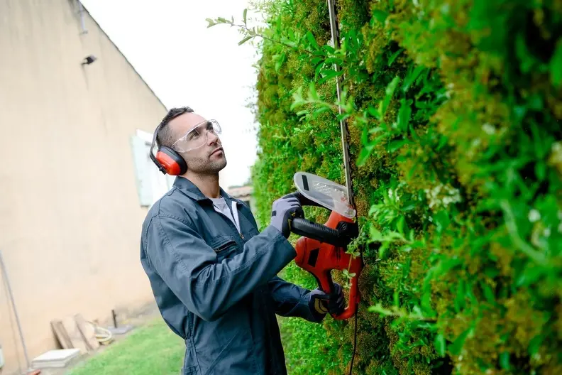 How Bush Trimming Enhances Your Landscape's Appearance Panorama City CA