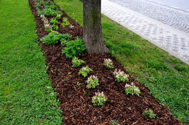 How To Choose The Right Mulch For Your Landscape Needs Panorama City CA