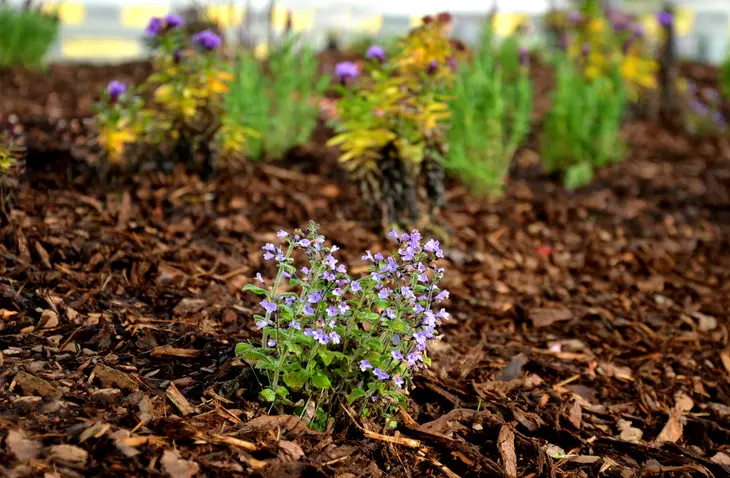 Local Mulching Panorama City CA
