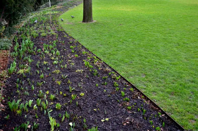 Professional Lawn Edging Panorama City CA