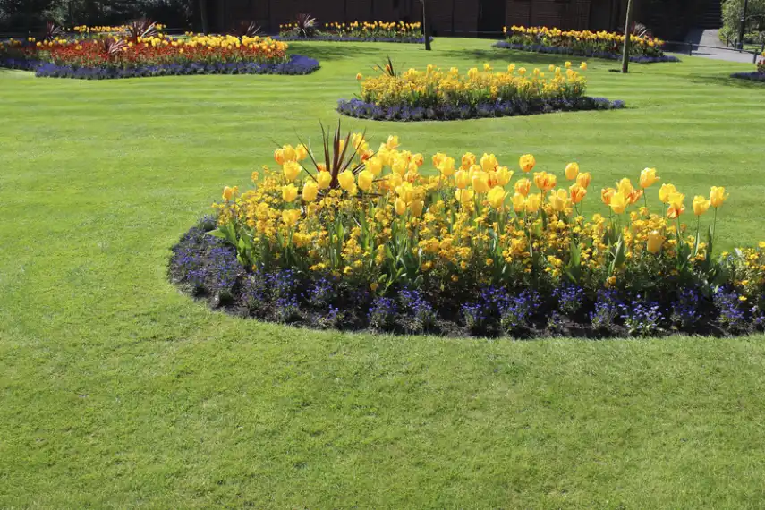 Top-rated Garden Design Panorama City CA